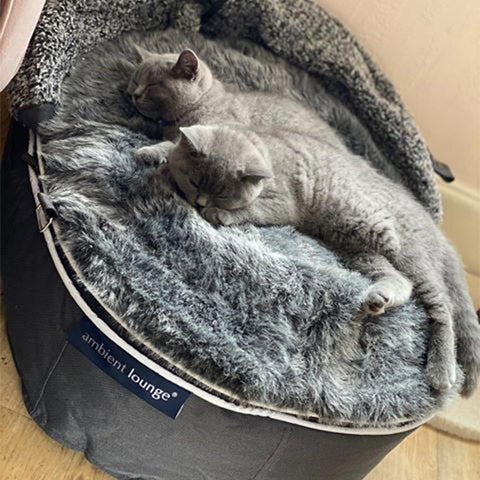 "Hoodie" Convertible Cat Bed