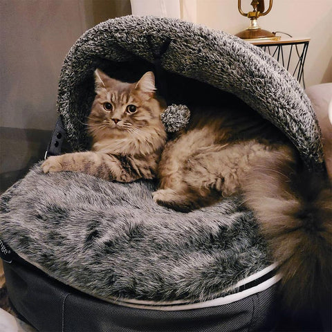 "Hoodie" Convertible Cat Bed