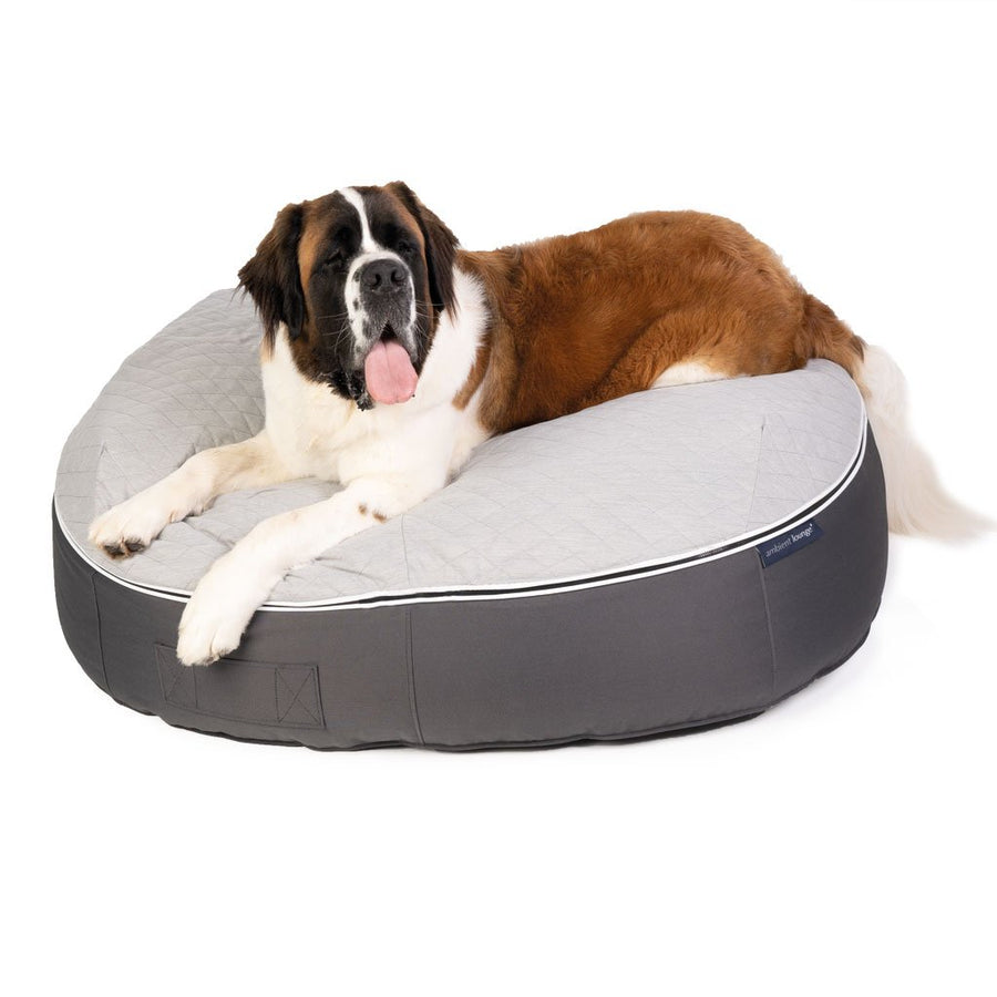 XXL Pet Bed Collection– Ambient Lounge® USA