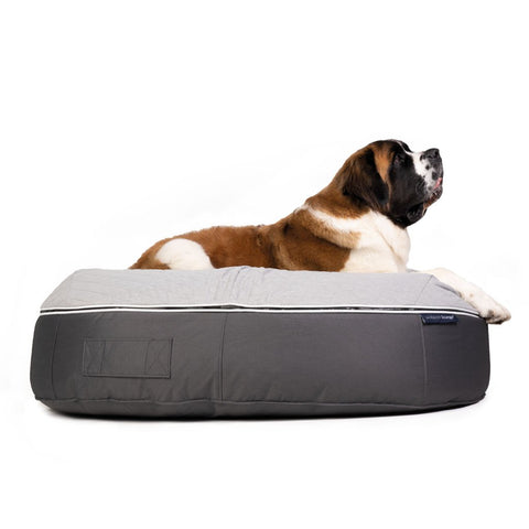 (XXL) Premium ThermoQuilt Dog Bed (grey)