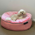 (M) Premium Indoor/Outdoor Dog Bed (Ballerina Pink)