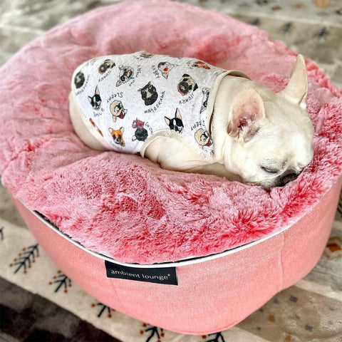 (S) Premium Indoor/Outdoor Dog Bed (Ballerina Pink - ltd. edition)