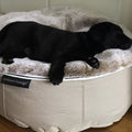 (M) Premium Indoor/Outdoor Dog Bed (Cappuccino)