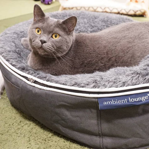 Luxury Indoor/Outdoor Cat Bed