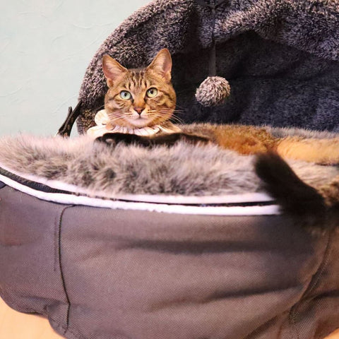 "Hoodie" Convertible Cat Bed