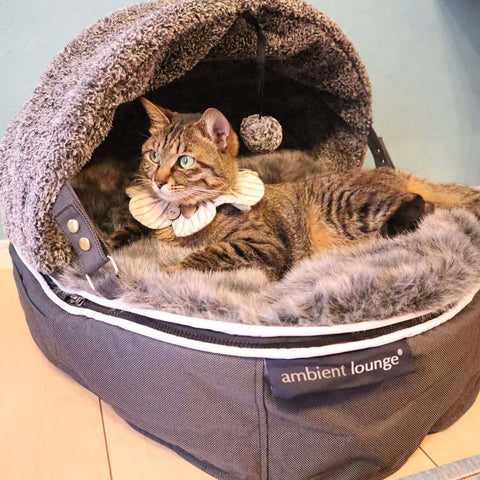 "Hoodie" Convertible Cat Bed