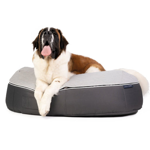 (XXL) Premium ThermoQuilt Dog Bed (grey)