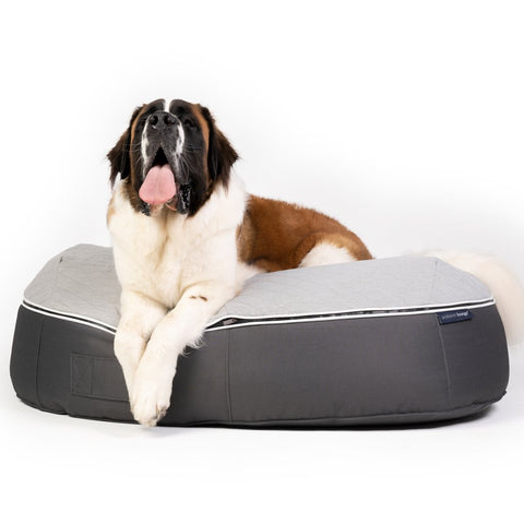 (XXL) Premium ThermoQuilt Dog Bed (grey)