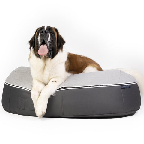 (XXL) Premium ThermoQuilt Dog Bed (grey)