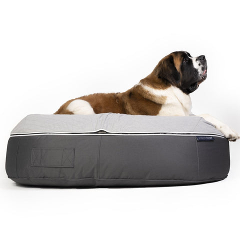 (XXL) Premium ThermoQuilt Dog Bed (grey)