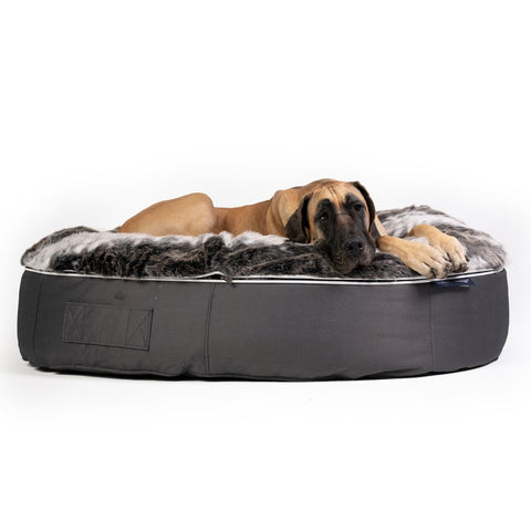 (XXL) Premium Indoor/Outdoor Dog Bed (Wild Animal)