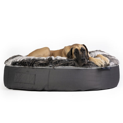 (XXL) Premium Indoor/Outdoor Dog Bed (Wild Animal)