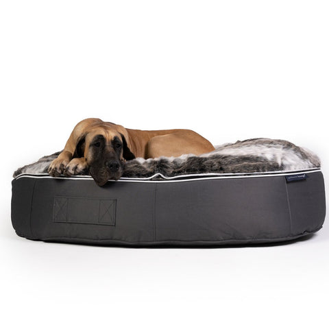 (XXL) Premium Indoor/Outdoor Dog Bed (Wild Animal)